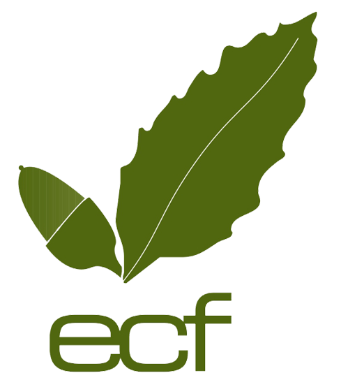 ecforestal.com